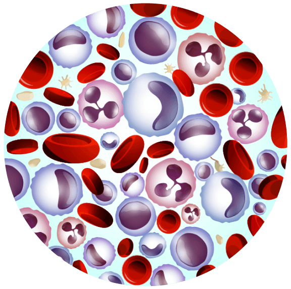 Blood Cancer