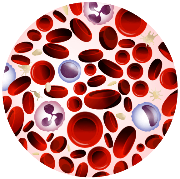Healthy Blood
